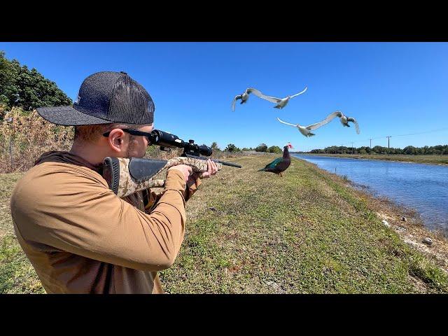 My First Time Spring Duck Hunting in Florida! (CATCH CLEAN COOK)