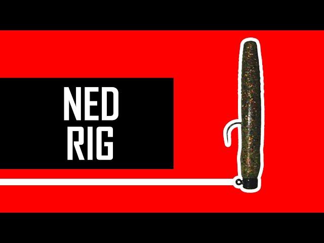 How to tie NED-RIG for fishing? Lure fishing