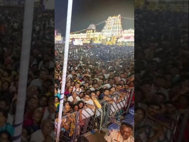 Today Heavy Crowd at TTD Brahmotsavam 2024 Garuda vaganam