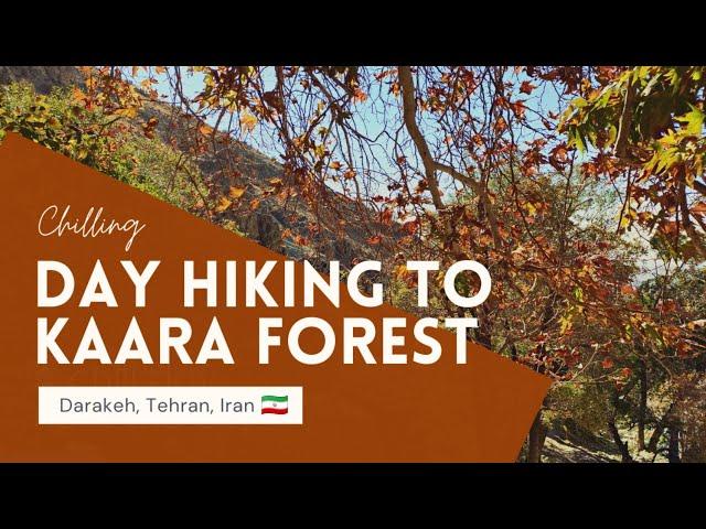 Light hiking Vlog | DARAKEH to KARA FOREST, Tehran, Iran  پیمایش از درکه تا جنگل کارا تهران، ایران