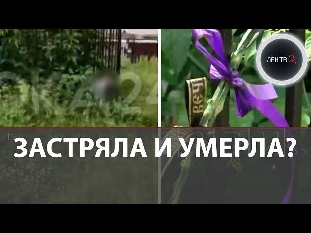 Засунула голову между прутьями забора, не смогла выбраться и погибла?
