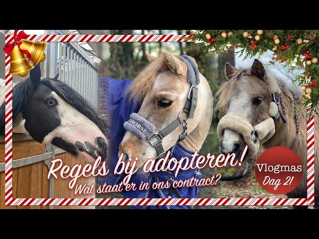 REGELS van ons ADOPTIE CONTRACT / BRUIKLEEN OVEREENKOMST?! || Paardzoektbaas | Vlogmas #20