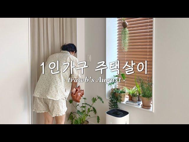 집에서 더 바쁜 한여름의 주택살이