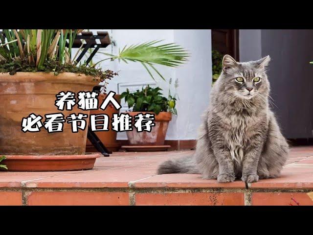 猛 男 必 看