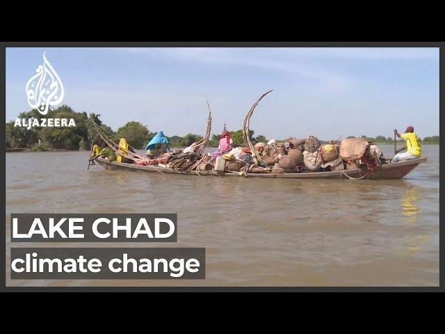 Millions brace for catastrophic effects as Lake Chad shrinks