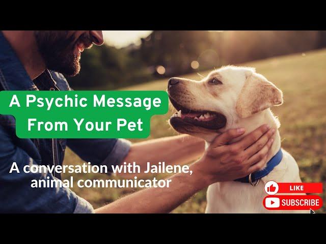 A Psychic Message from Your Pet.  Communicate with Your animals here on Earth and in Spirit.