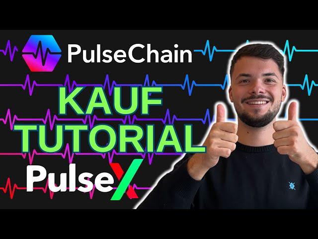 Meine Strategie! So EINFACH kaufst DU PulseChain + PLSX + HEX! WOW! 