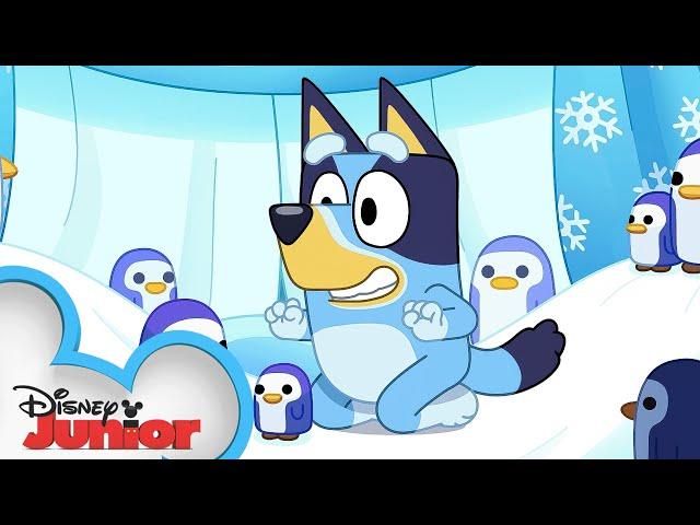 Bluey Season 3 Episode 38 "Cubby" Episode Clip | @disneyjr x @BlueyOfficialChannel