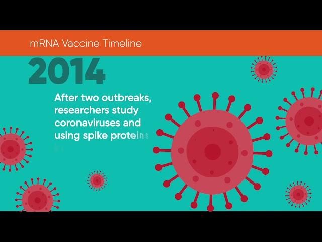 The Discovery and Development of the mRNA Vaccine