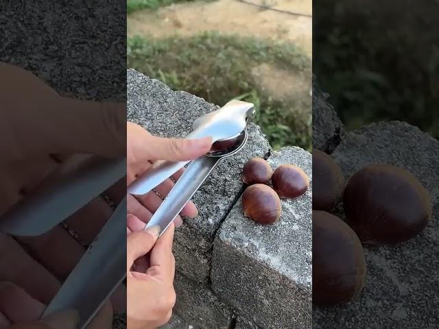The ultimate portable chestnut shell opener