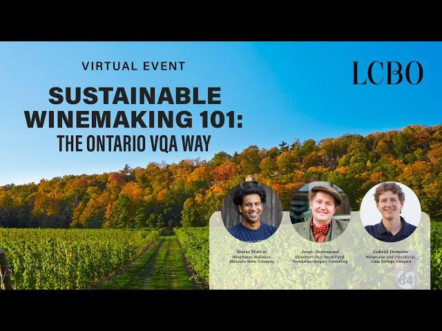 Sustainable Winemaking 101: The Ontario VQA Way