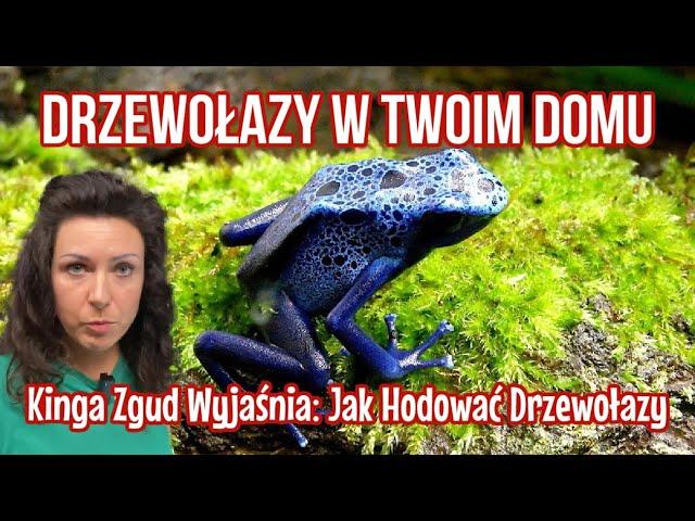 KOLOROWE DRZEWOŁAZY | Kinga Zgud Odpowiada!