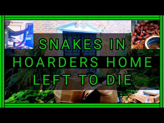 Snakes in Hoarders Home Left to Die