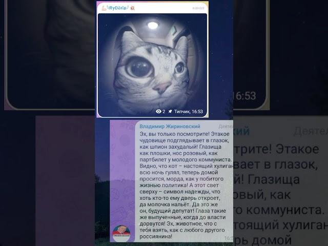 Ох уж этот Владимир Жириновский #владимир #активвернись #мем #юмор