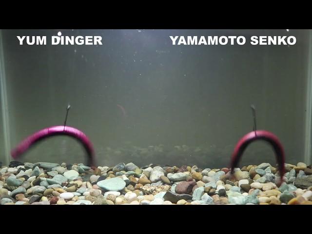 YUM Dinger vs Yamamoto Senko