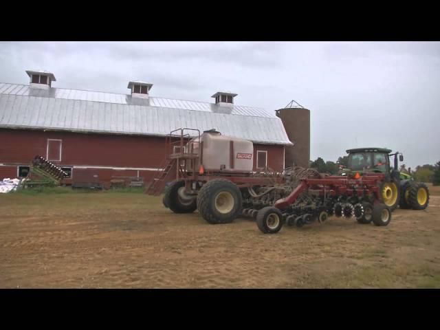 Winter Wheat 101