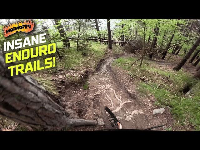 BEST TRAILS IN EUROPE!? NAVA FREERIDE | Jack Moir |