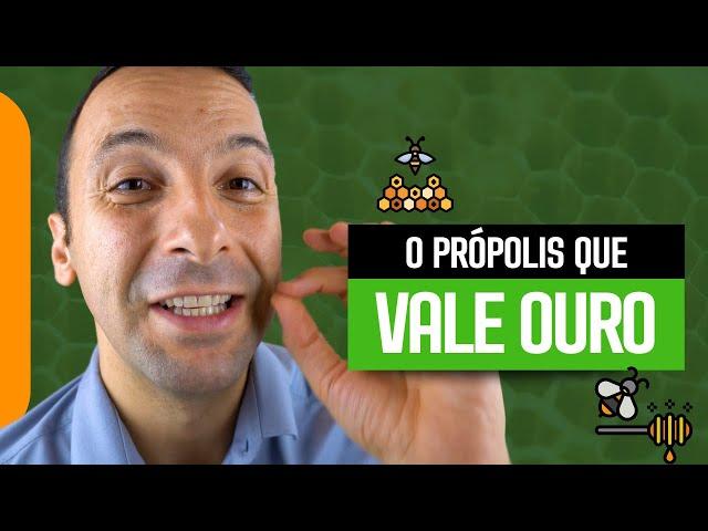 O PRÓPOLIS QUE VALE OURO PARA SUA SAÚDE E IMUNIDADE