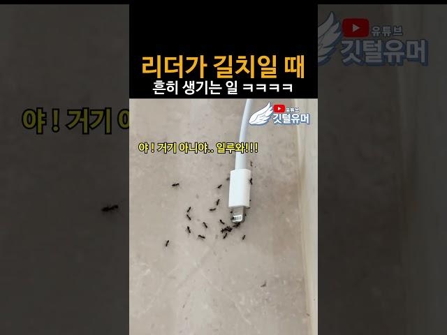 거기에 바나나가 왜 있어 ㅋㅋㅋㅋㅋ