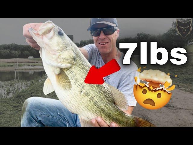 Insane Giant Bass Catch...Two of them back to back!!!
