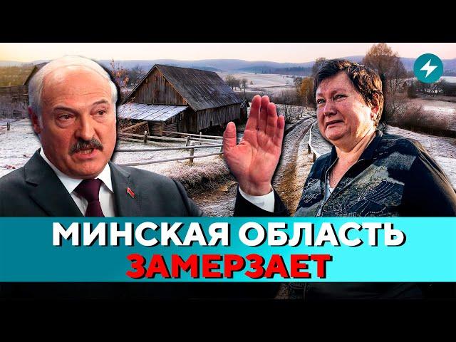 Экономить не получится: жителей вынуждают топить дровами. Что дальше? // Новости регионов Беларуси