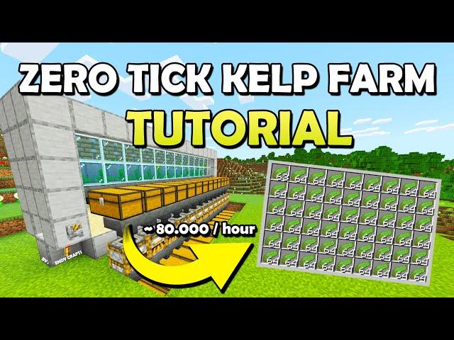 Amazing 1.20 Zero Tick Kelp Farm Tutorial in Minecraft Bedrock (MCPE/Xbox/PS4/Nintendo Switch/PC)