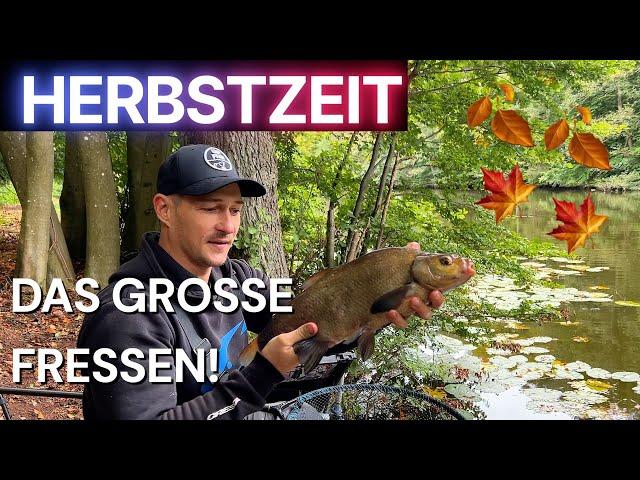 HERBSTLICHES METHOD FEEDER