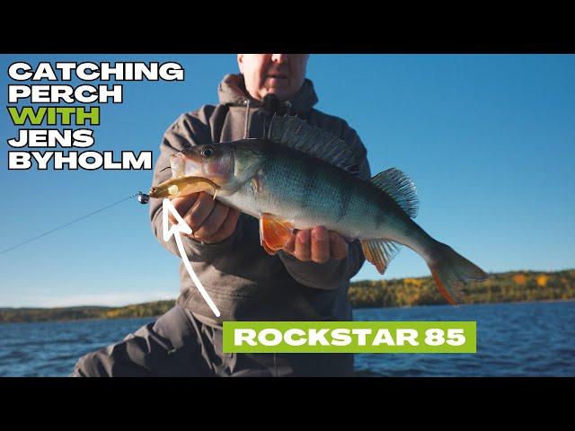 PERCH fishing in SWEDEN with the ROCKSTAR!