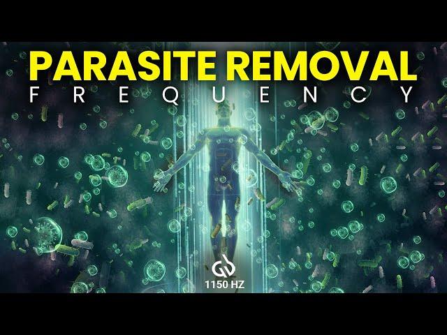 Parasite Removal Frequency: 1150 HZ Rife Frequency, Destroy Parasites