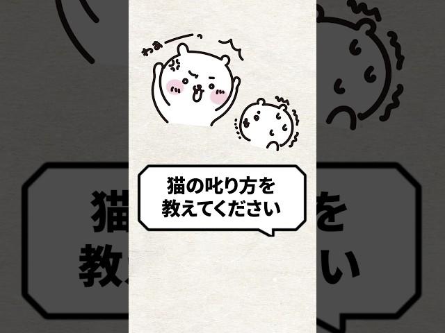 Q: Please tell me how to scold a cat #cat #life with a cat #cat