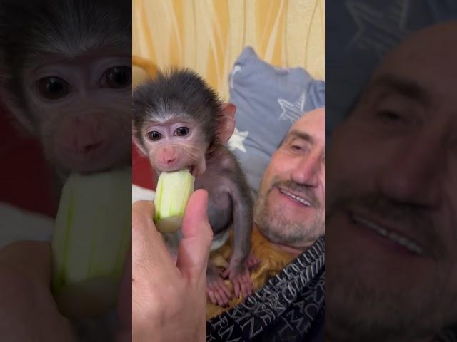 Степашка принёс и поделился с Владом огурчиком)))