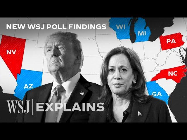 Trump, Harris Tied in Swing States Despite Trump Leading on Top Issues | WSJ