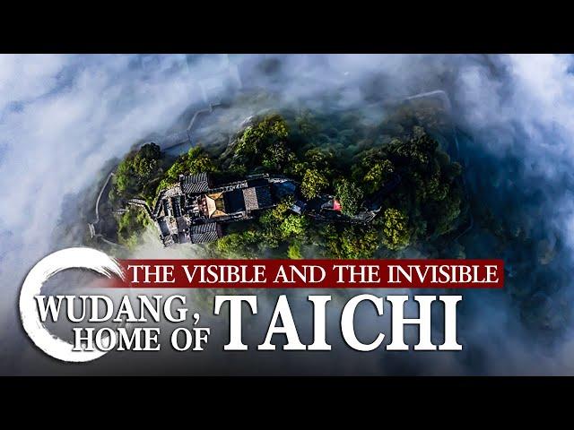 The Visible and the Invisible「Wudang，Home of Tai Chi」 | China Documentary