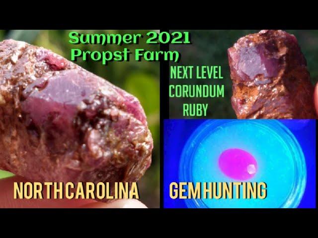 Digging Sapphire & Ruby Lapidary Grade Corundum North Carolina Gem Hunting 2021