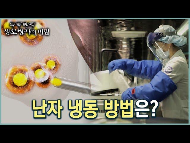 난자 냉동 어떻게 할까? (KBS 20220921 방송)