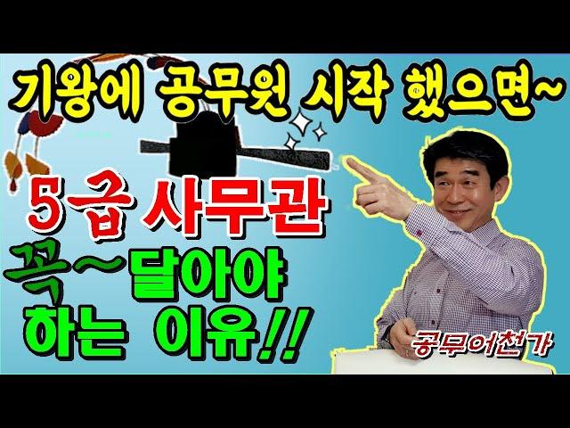 공무원 5급 사무관, 승진의 가치와 의미~! | 과장 출신 공무원이 알려 드림 | 현직공무원, 공무원 장점