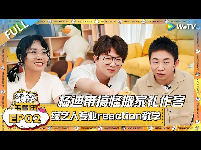 杨迪带搞怪搬家礼作客毛雪汪！综艺人的专业reaction教学 毛不易现场学起来了！|《毛雪汪》EP02 FULL #综艺 #杨迪 #李雪琴 #毛不易