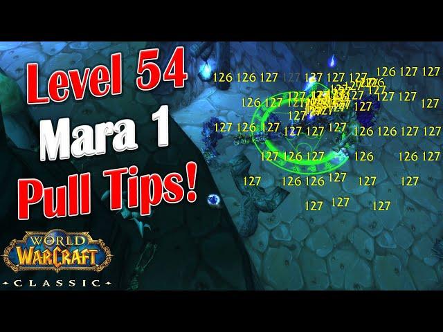 WoW Classic - Arlaeus Coaching - Bsauce Lv 54 Mara 1 Pull - Helpful Tips!