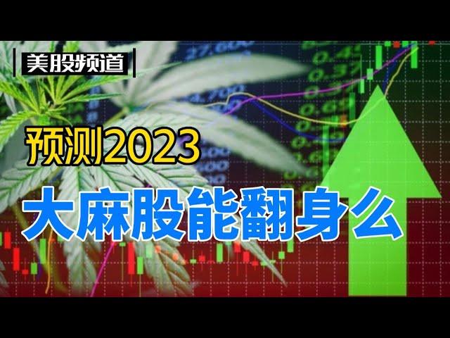 第15期：2023年大麻股能翻身么？看好大麻市场的三大因素是什么？