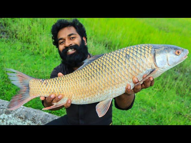 5 KG BIG FISH GRILLED WITH HOT CHEESE |പെടക്കണ മീൻ ചുട്ടെടുത്തത് | M4 TECH |