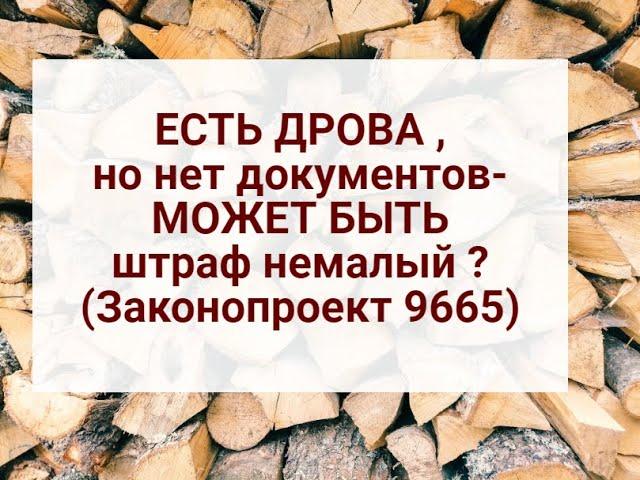 ШТРАФ ?ЕСТЬ ДРОВА дома,но нет документов на них-немалый штраф ?Законопроект 9665 от 10.10.24