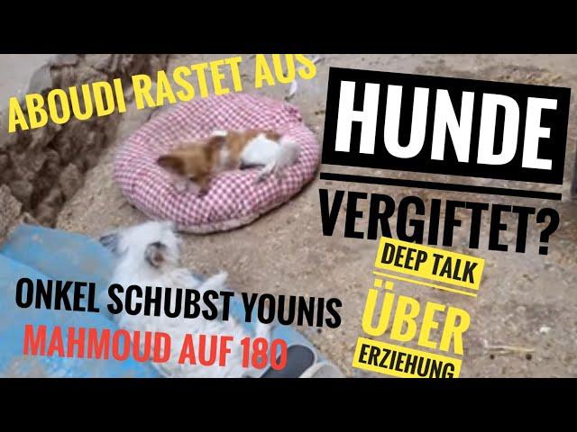 Storytime as its best  Familie alle involviert  #aminaundyounis