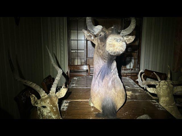 Abandoned house full of taxidermy! Urban exploring uk. The hunters house