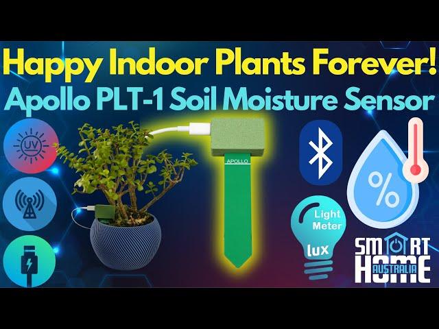 The ULTIMATE Indoor Plant Care Monitor PLT-1 Non Battery