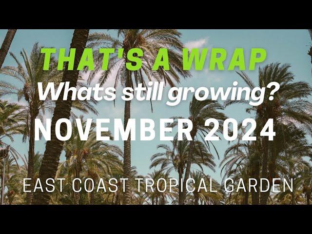 November 2024 Update | UK Tropical Garden | Palms and Tropical Plants | End of Season #garden #plant