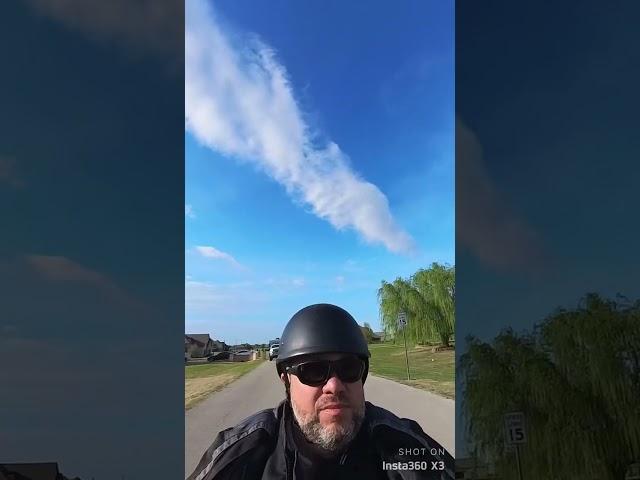 Mild Hogs - First Video - 2023