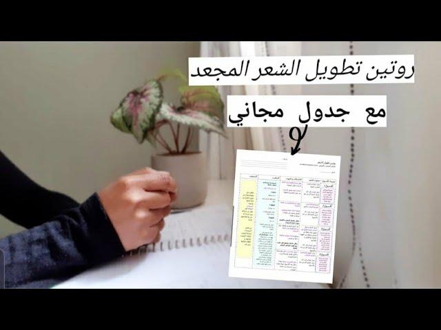 روتين تطويل الشعر الكيرلي| مع جدول مجاني للتحميل| marooncurls