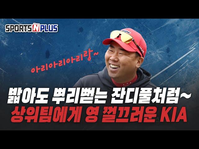 안심할 수 없는 프로야구 순위 | 상위팀에게는 눈엣가시 기아? | 2025.06.19 크보 3&3