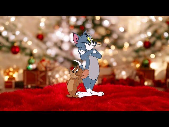 Tom and Jerry cartoon Royal Cat Nap | Robin Hoodwinked | Switchin Kitten | Down and Outing #tom