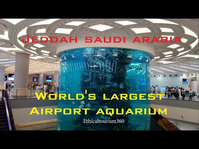 Worlds biggest airport aquarium | Jeddah Airport Aquarium Terminal 1 | Fish tank Jeddah New Airport